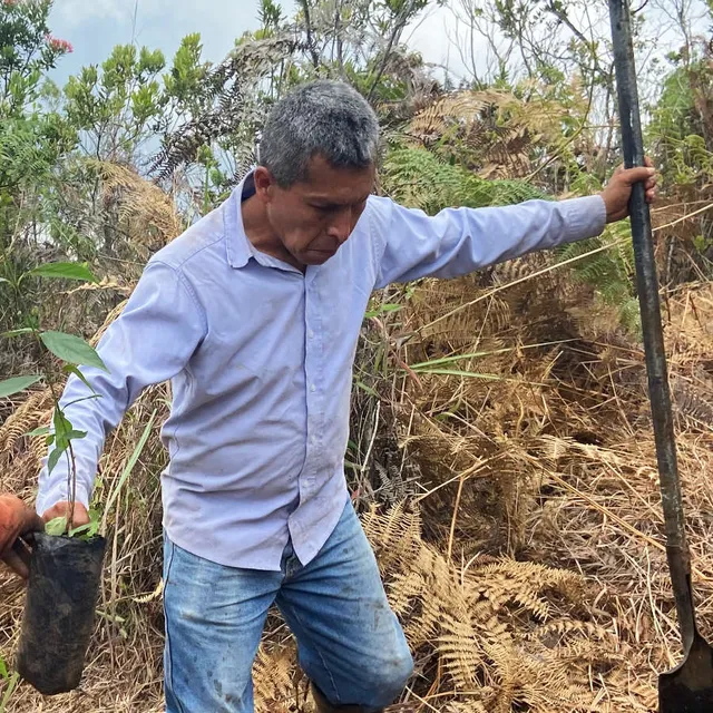 Erazmo · Siembras y Mantenimiento