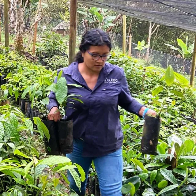 Mari Gaviria · Técnica Vivero y Siembras