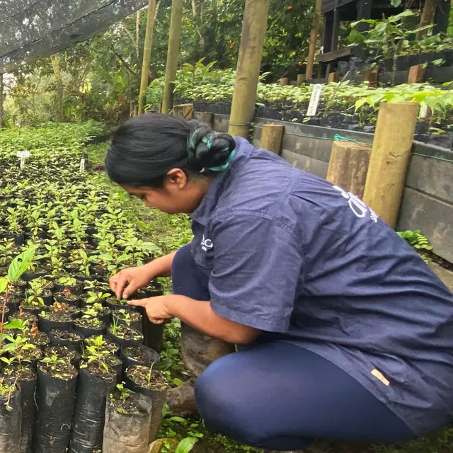 Paula Campo · Técnica Ambiental