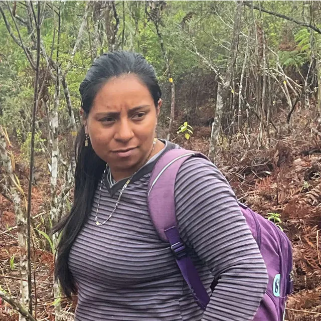 Yineth Bravo · Logística de Siembras